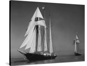 Schooners Sir Winston Churchill and Malcolm Miller-null-Stretched Canvas