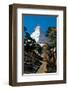 Schreckhorn Berner Oberland-null-Framed Art Print