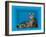 Schrodinger's Cat, Artwork-Victor De Schwanberg-Framed Photographic Print