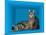 Schrodinger's Cat, Artwork-Victor De Schwanberg-Mounted Photographic Print