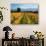 Schubert Vineyard, Martinborough, Wairarapa, North Island, New Zealand-David Wall-Premium Photographic Print displayed on a wall