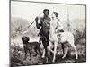 Schutzenberger: Centaurs-Louis Frederic Schutzenberger-Mounted Giclee Print