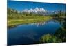 Schwabacher Landing, Grand Teton National Park, Wyoming, USA-Roddy Scheer-Mounted Photographic Print