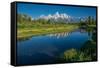 Schwabacher Landing, Grand Teton National Park, Wyoming, USA-Roddy Scheer-Framed Stretched Canvas