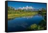 Schwabacher Landing, Grand Teton National Park, Wyoming, USA-Roddy Scheer-Framed Stretched Canvas