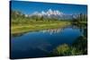 Schwabacher Landing, Grand Teton National Park, Wyoming, USA-Roddy Scheer-Stretched Canvas