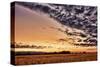 Schwartz - A Slice of Summer Heaven-Don Schwartz-Stretched Canvas