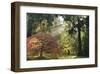 Schwartz - Bathed in Morning Light-Don Schwartz-Framed Art Print