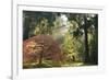 Schwartz - Bathed in Morning Light-Don Schwartz-Framed Art Print