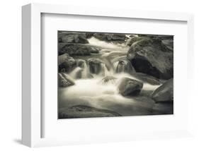 Schwartz - Blue Flowing-Don Schwartz-Framed Premium Giclee Print