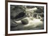 Schwartz - Blue Flowing-Don Schwartz-Framed Premium Giclee Print