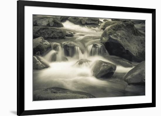 Schwartz - Blue Flowing-Don Schwartz-Framed Premium Giclee Print