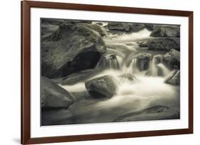 Schwartz - Blue Flowing-Don Schwartz-Framed Art Print