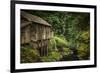 Schwartz - Cedar Creek Grist Mill-Don Schwartz-Framed Premium Giclee Print