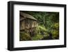 Schwartz - Cedar Creek Grist Mill-Don Schwartz-Framed Art Print