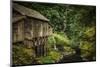 Schwartz - Cedar Creek Grist Mill-Don Schwartz-Mounted Art Print