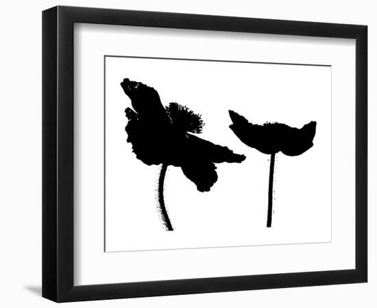 Schwartz - Dance of the Poppies-Don Schwartz-Framed Art Print