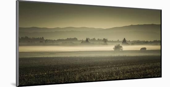 Schwartz - Dawn's Early Light-Don Schwartz-Mounted Premium Giclee Print