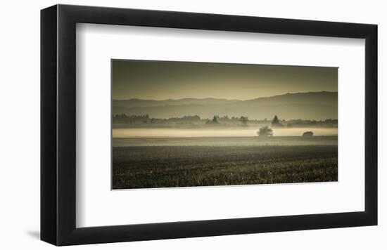 Schwartz - Dawn's Early Light-Don Schwartz-Framed Art Print