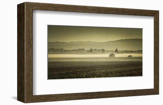 Schwartz - Dawn's Early Light-Don Schwartz-Framed Art Print