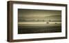 Schwartz - Dawn's Early Light-Don Schwartz-Framed Art Print