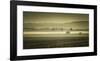 Schwartz - Dawn's Early Light-Don Schwartz-Framed Art Print