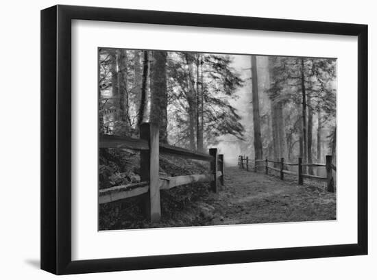 Schwartz - Down the Misty Path-Don Schwartz-Framed Art Print