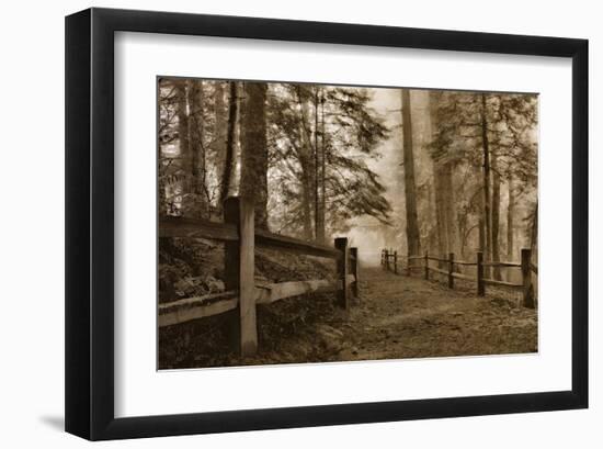 Schwartz - Down the Misty Path-Don Schwartz-Framed Art Print