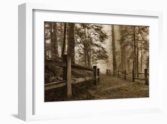 Schwartz - Down the Misty Path-Don Schwartz-Framed Art Print