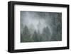 Schwartz - Draped in Clouds-Don Schwartz-Framed Art Print