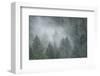 Schwartz - Draped in Clouds-Don Schwartz-Framed Art Print