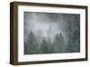 Schwartz - Draped in Clouds-Don Schwartz-Framed Art Print