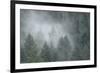 Schwartz - Draped in Clouds-Don Schwartz-Framed Art Print