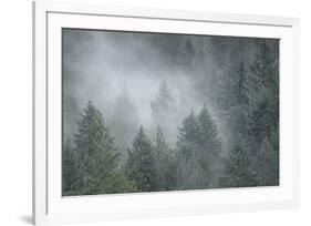 Schwartz - Draped in Clouds-Don Schwartz-Framed Art Print