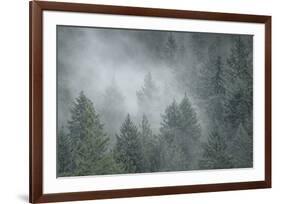 Schwartz - Draped in Clouds-Don Schwartz-Framed Art Print