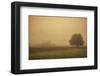 Schwartz - Foggy Barn-Don Schwartz-Framed Premium Giclee Print