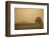 Schwartz - Foggy Barn-Don Schwartz-Framed Premium Giclee Print