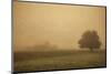 Schwartz - Foggy Barn-Don Schwartz-Mounted Premium Giclee Print