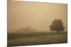 Schwartz - Foggy Barn-Don Schwartz-Mounted Premium Giclee Print