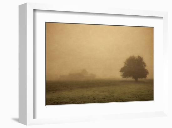 Schwartz - Foggy Barn-Don Schwartz-Framed Art Print