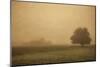 Schwartz - Foggy Barn-Don Schwartz-Mounted Art Print