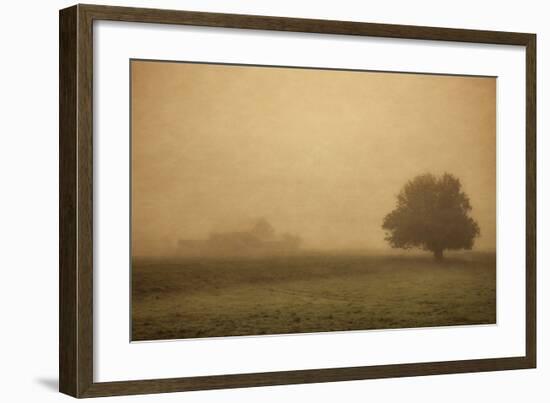 Schwartz - Foggy Barn-Don Schwartz-Framed Art Print