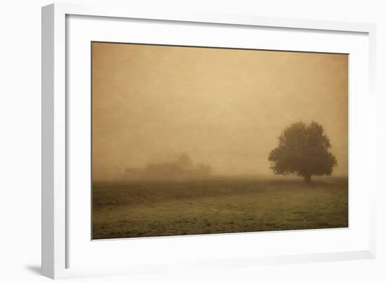 Schwartz - Foggy Barn-Don Schwartz-Framed Art Print