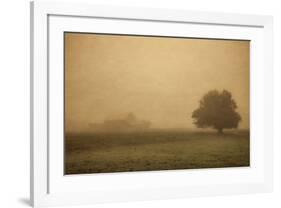 Schwartz - Foggy Barn-Don Schwartz-Framed Art Print