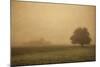 Schwartz - Foggy Barn-Don Schwartz-Mounted Art Print