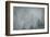 Schwartz - Foggy Pines-Don Schwartz-Framed Art Print