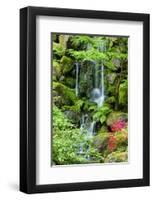 Schwartz - Heavenly Falls-Don Schwartz-Framed Art Print