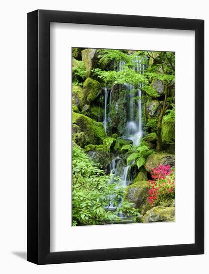 Schwartz - Heavenly Falls-Don Schwartz-Framed Art Print