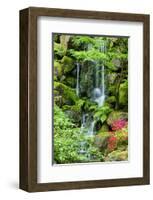 Schwartz - Heavenly Falls-Don Schwartz-Framed Art Print