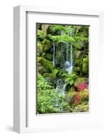 Schwartz - Heavenly Falls-Don Schwartz-Framed Art Print